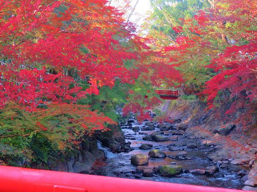 修善寺温泉の紅葉の彩り（紅葉景色）