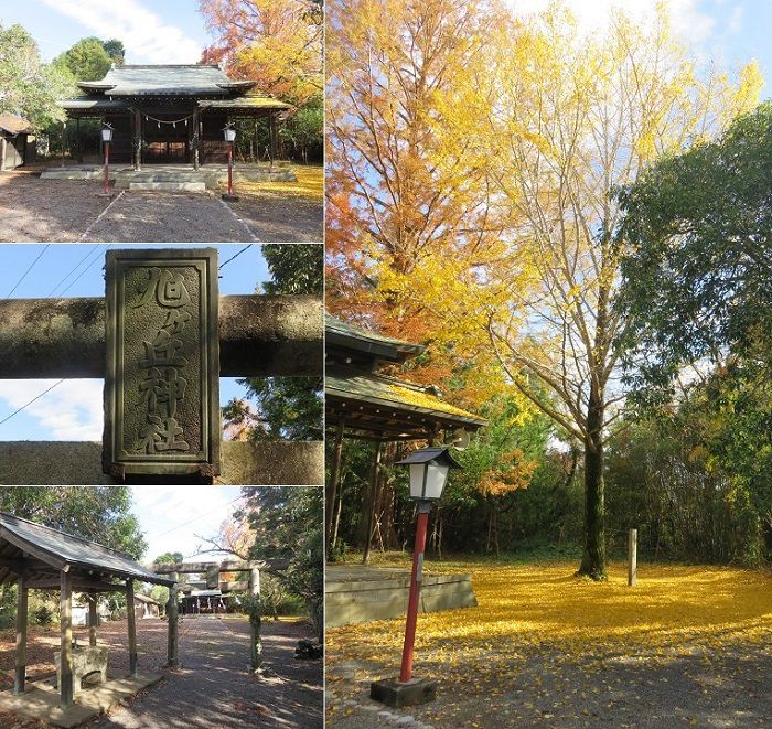 城山公園（二俣城址）紅葉：旭ヶ丘神社とイチョウの紅葉