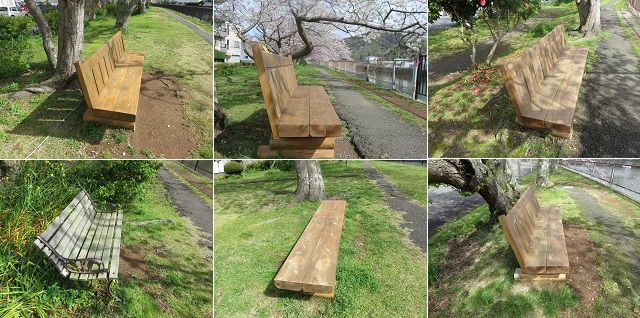 本郷公園付近（稲生川沿い）の桜：散策路沿いにあった木のベンチの数々