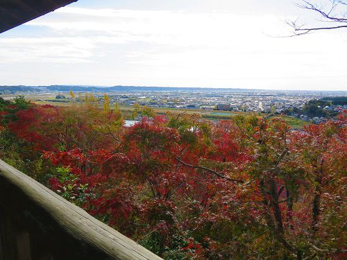 鳥羽山公園の紅葉（天竜川方向）