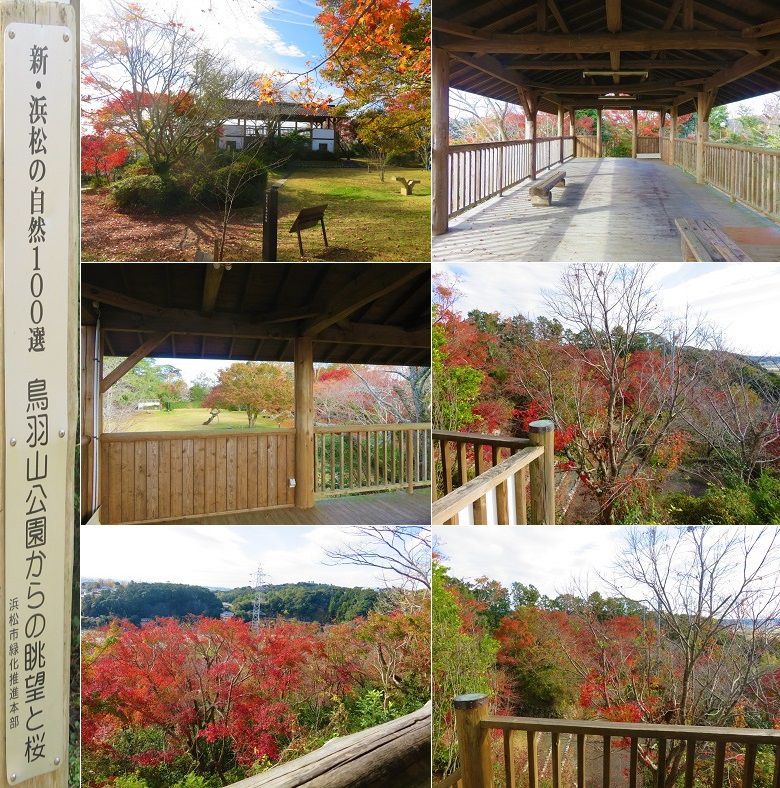 鳥羽山公園の紅葉（展望台からの眺め）