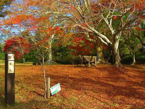 鳥羽山公園の紅葉の彩り
