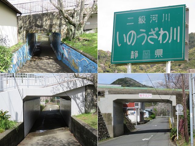 本郷公園付近（稲生川沿い）の桜：看板と道路下ガード