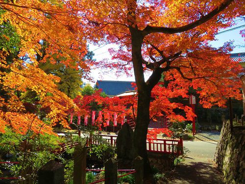 岩水寺の紅葉：鮮やかに色付いていた紅葉