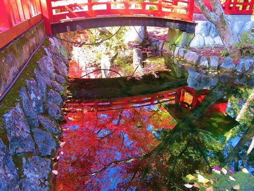 岩水寺の紅葉：赤池湖面に映る紅葉の赤色