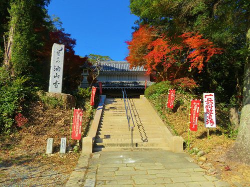 油山寺の紅葉：参道階段脇の紅葉景色