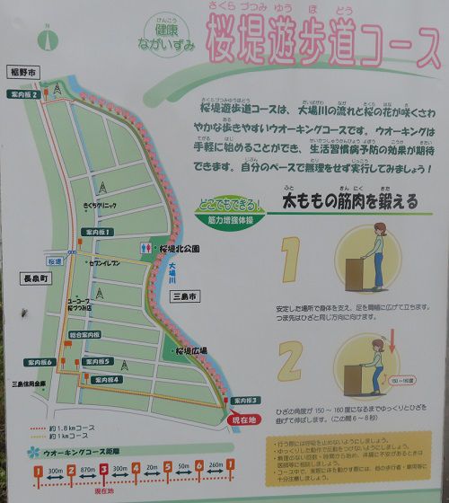 桜堤遊歩道の桜：コースの現地案内看板