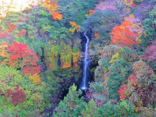 須津川渓谷の紅葉景色（大棚の滝周囲）