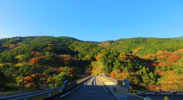 須津川渓谷の山肌の紅葉景色