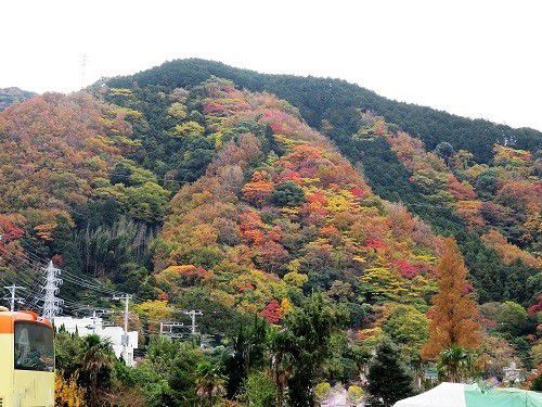 松原公園から望んだ周辺の山肌紅葉景色