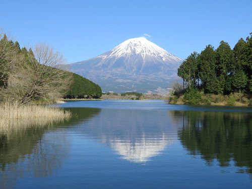富士山ビュー：田貫湖西側に位置する展望デッキからの富士山風景