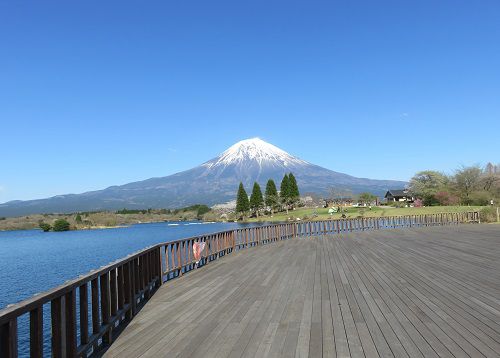 富士山ビュー：田貫湖からの富士山