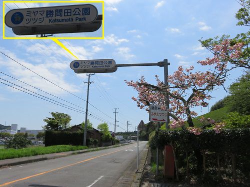 勝間田公園（ミヤマツツジ）入り口表示看板