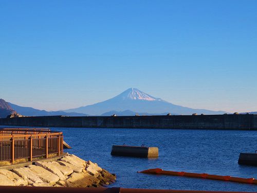 焼津漁港親水広場「ふぃしゅーな」の園内から眺めた富士山ビュー
