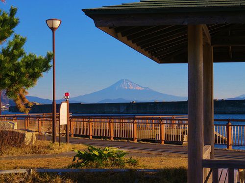 焼津漁港親水広場「ふぃしゅーな」の園内からの富士山景色