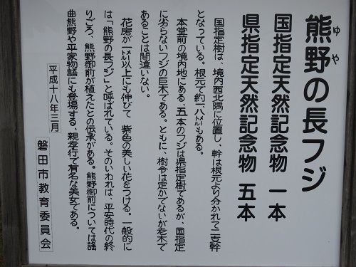 熊野の長藤：国及び県指定天然記念物「熊野の長藤」の現地板