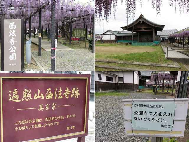 熊野の長藤に隣接する「西法寺公園」の藤棚風景をお伝えしています