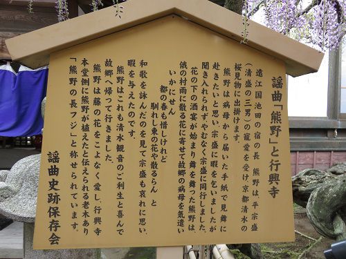 謡曲「熊野」と行興寺の案内板（説明板）