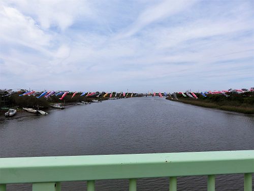 ハマボウ橋、鯉のぼり（遠望）