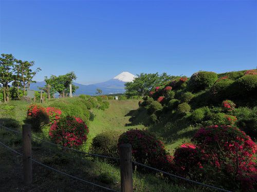 富士山ビュー：山中城跡公園からの富士山（西櫓堀）