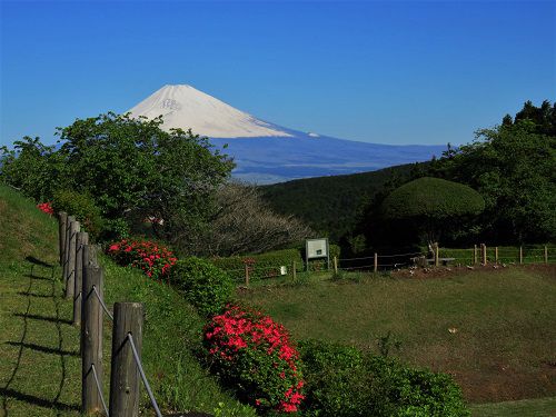 富士山ビュー：山中城跡公園からの富士山（西櫓「櫓台（見張り台）」）