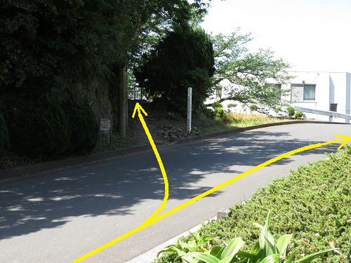 駐車場から三四郎島への道のりの様子