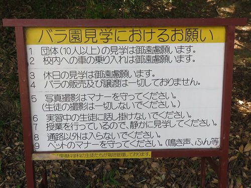 磐田農業高校のバラ園見学におけるお願い看板