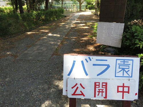 磐田農業高校のバラ園公開中の表示板