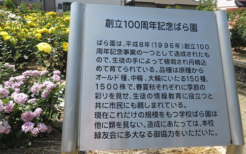 磐田農業高校の創立１００周年記念バラ園の説明板