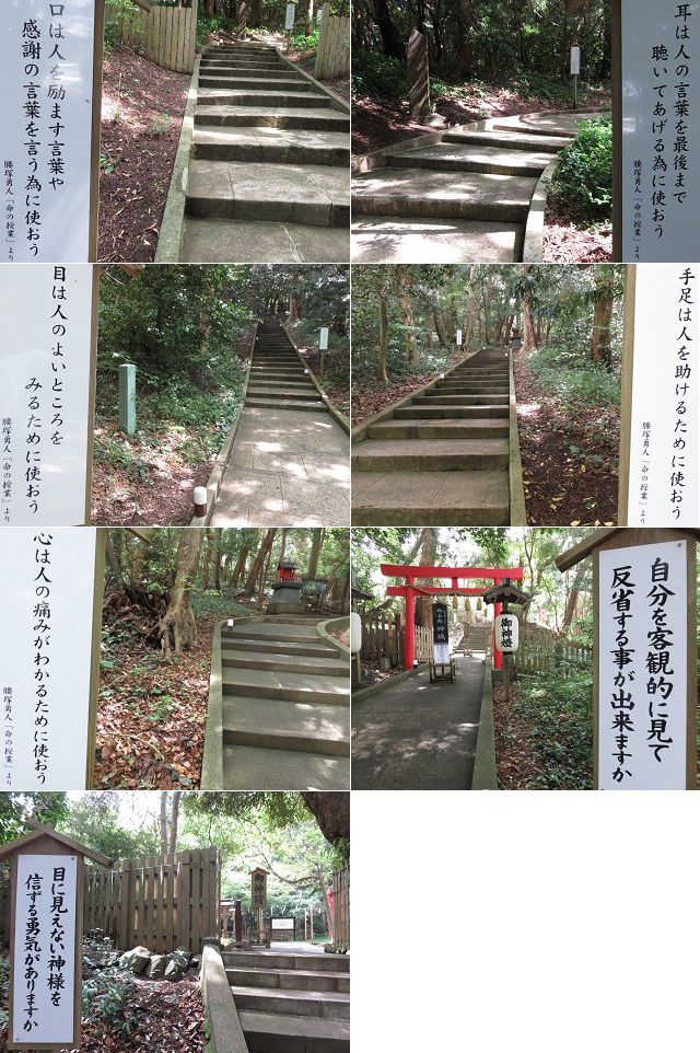 白浜神社の御本殿へと向かう参道階段