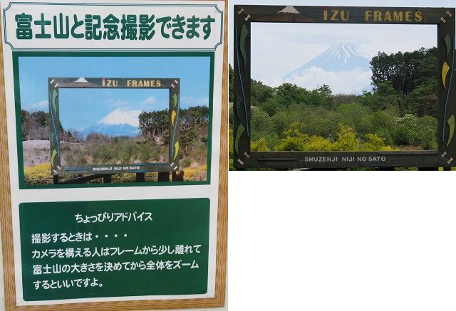 修善寺虹の郷での富士山と記念撮影できますの富士山フレーム