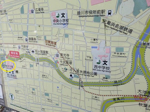 掛川桜：逆川沿いの掛川桜付近の現地案内図（位置をマークしています）