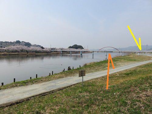 都田川桜堤の「みをつくし橋」と桜並木の位置関係