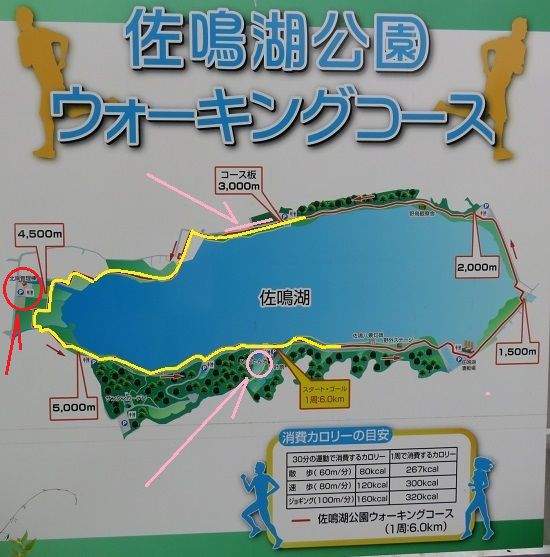 佐鳴湖公園の外周ウォーキングコース現地案内図