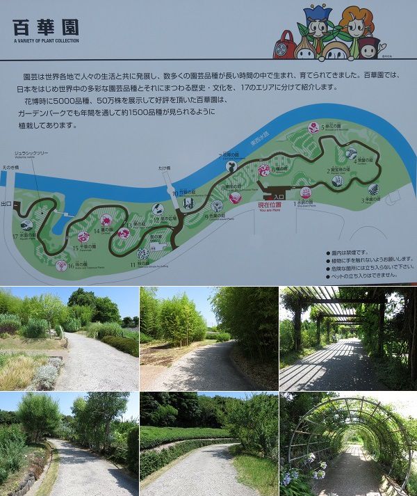 浜名湖ガーデンパークの百華園の現地案内図