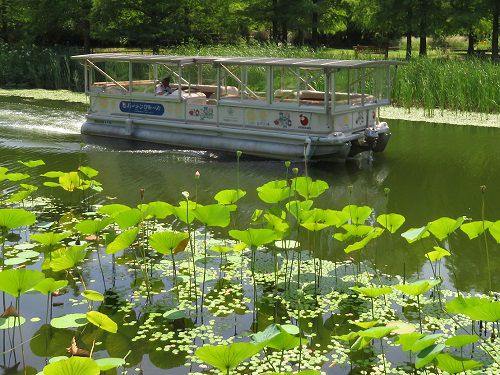 浜名湖ガーデンパークの遊覧船ガーデンクルーズが航行している様子