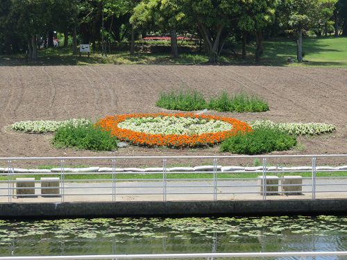 浜名湖ガーデンパークの花広場