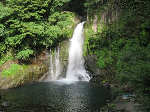 河津七滝にて、滝幅約７m、そして、河津七滝最大の落差（約３０m）を誇る「大滝」、勢い良く流れ落ちていた滝