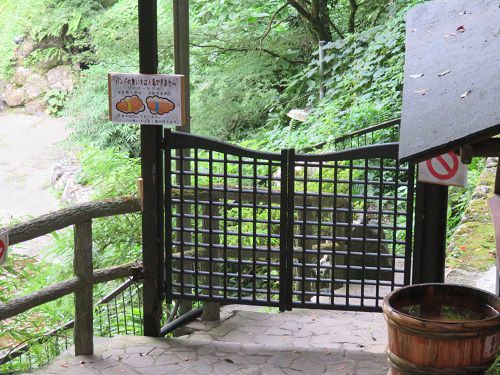 河津七滝にて、許可された人以外立ち入り禁止の門（ゲート）