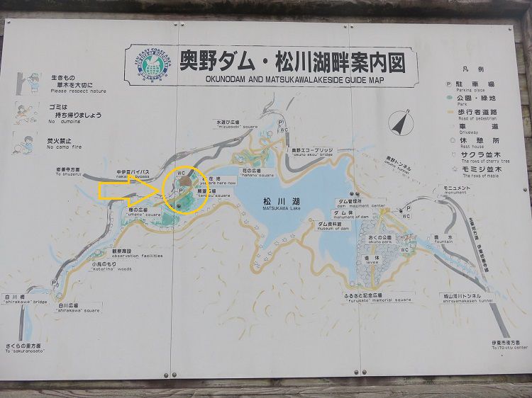 松川湖、パンパスグラス【伊東市】：現地案内図