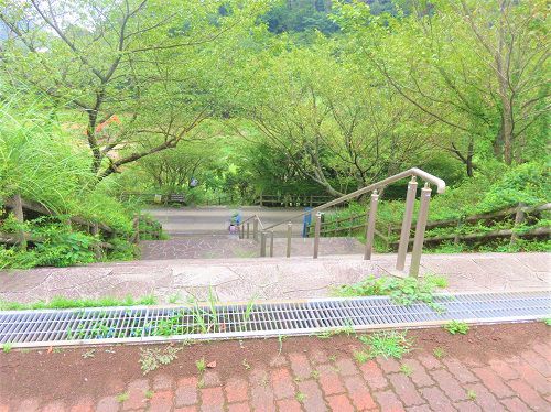松川湖【伊東市】：階段