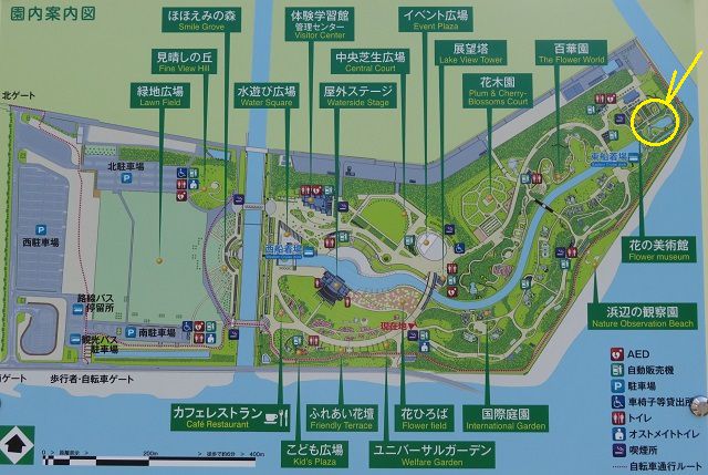 浜名湖ガーデンパークのバラ園：園内案内図（花の美術館を印しています）