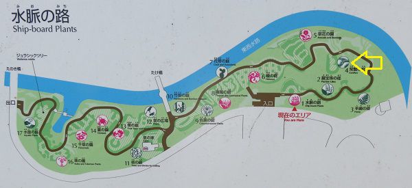 浜名湖ガーデンパークの水脈の路案内図（常盤の庭に矢印を付けています）
