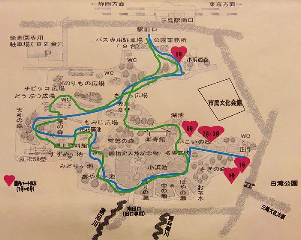楽寿園のハートの木所在図（パワースポット）