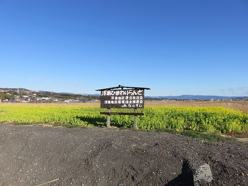 浮島ひまわりらんど、菜の花畑【沼津市】：北側遠景
