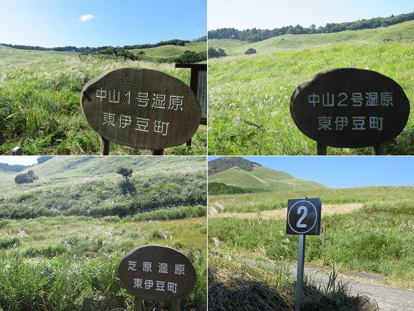 稲取細野高原のススキ：中山1号湿原と中山2号湿原や芝原湿原の様子