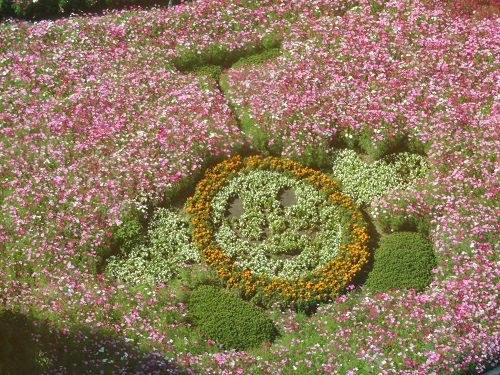 浜名湖ガーデンパークのコスモス畑：マスコットキャラクター「のたね」の花模様（展望塔からの花景色）