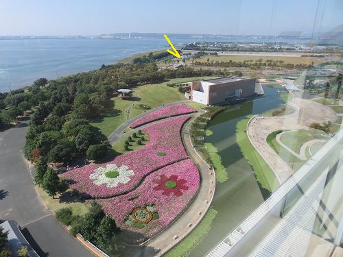 浜名湖ガーデンパークのコスモス畑：展望塔から眺めた駐車場の様子をお伝えしています