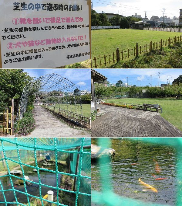 稲取文化公園の芝生広場と池の鯉