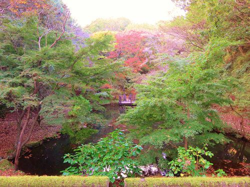 駿河平自然公園の園内紅葉風景
